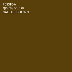 #593F0A - Saddle Brown Color Image